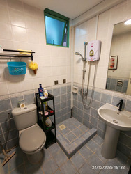 The Sunny Spring (D14), Apartment #513165691